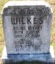 Julius E Wilkes gravestone