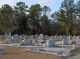 Sardis Cemetery photo